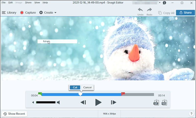 Snagit Mac Screen Recording