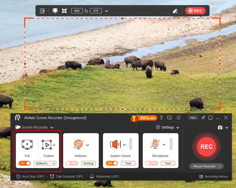 Opnamegebied instellen
