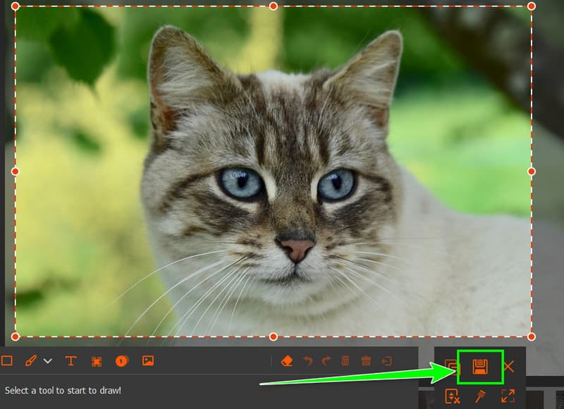 Save Captured Image Avaide