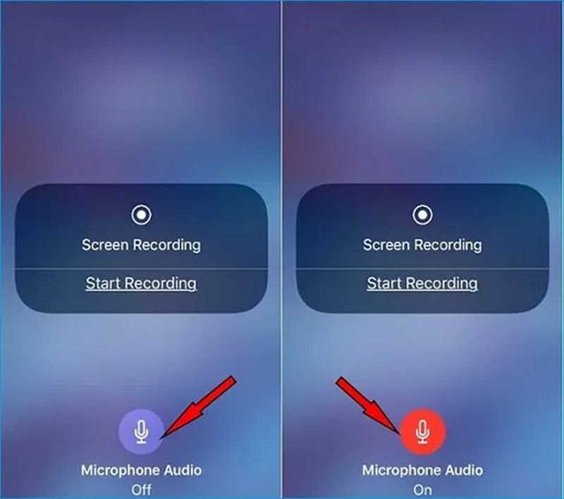 Microphone Was Not Enabled