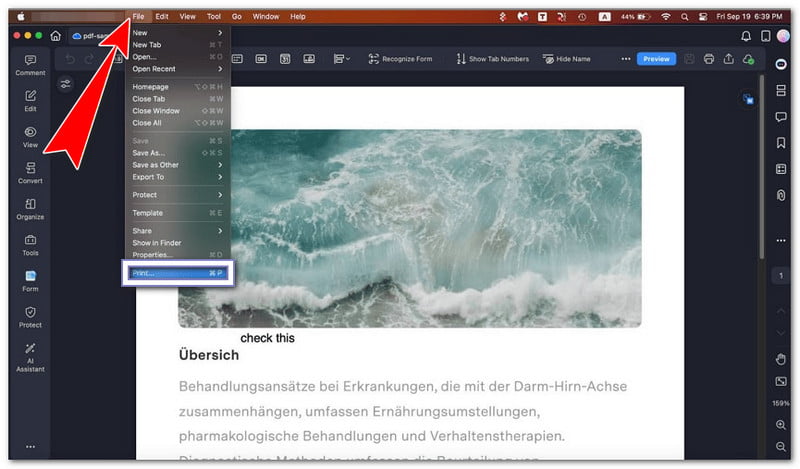 Print a Saved Screenshot Using Preview