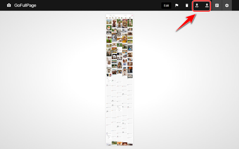 Ladda ner skärmdump från Gofullpage