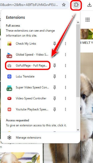 Kör Gofullpage
