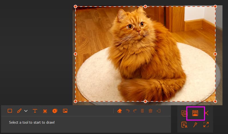 Save Captured Screen Avaide
