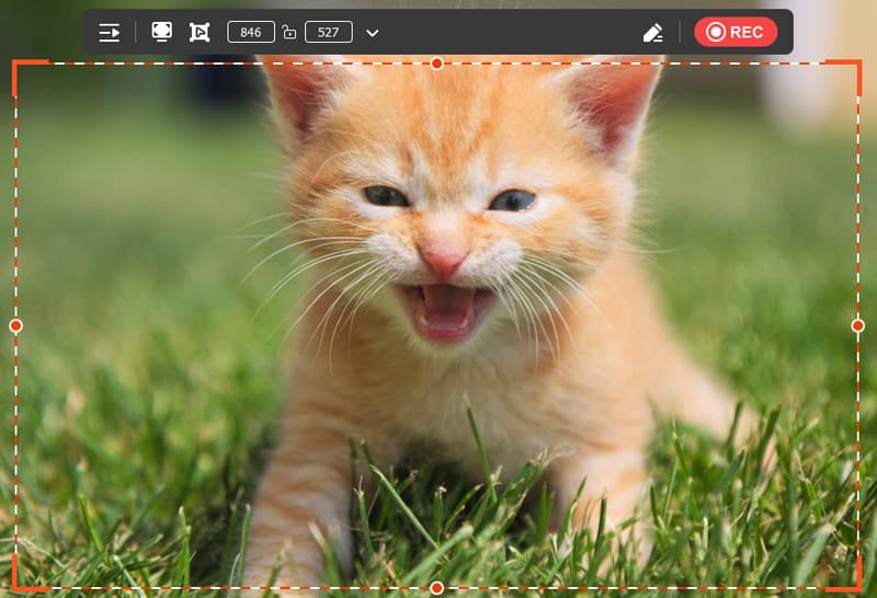 Alternatif Perekam Layar Avaide