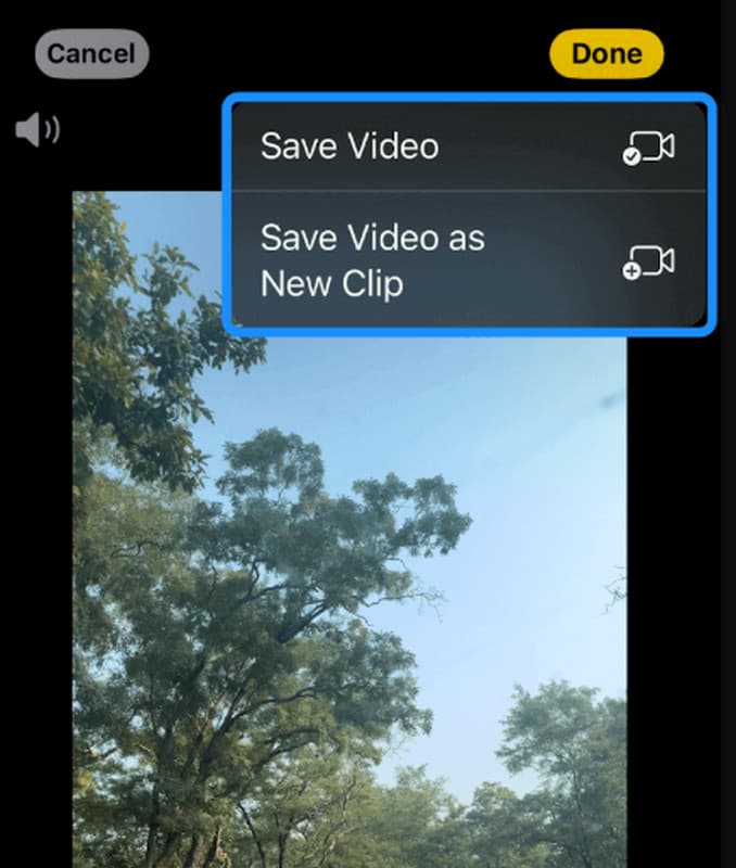 Save Edited iOS Video