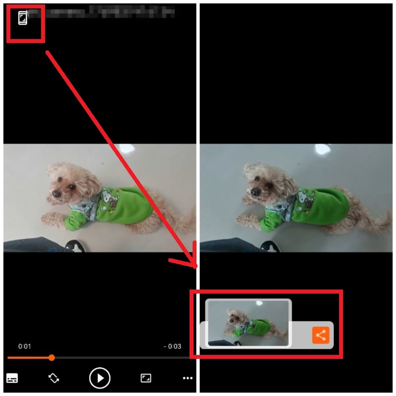 Screen Button