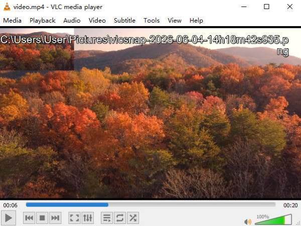 VLC Take Screenshot