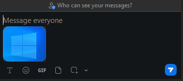 Zoom Send or Save Screenshot in Chat