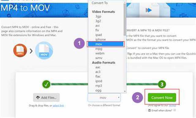 Zamzar MP4 to MOV Converter