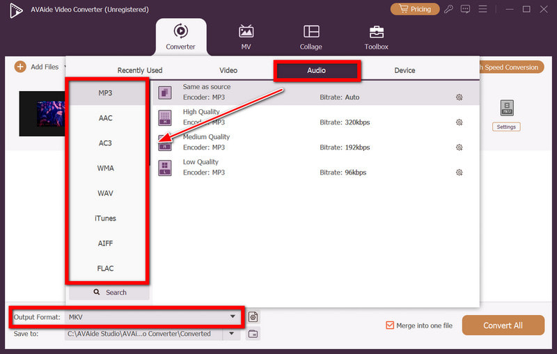 פורמט פלט אודיו